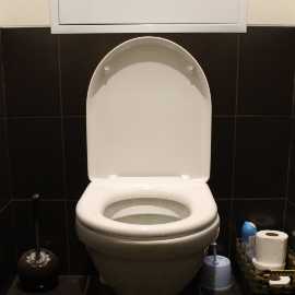 Saubere Toilette nachhaltiger Reiniger selbstgemacht